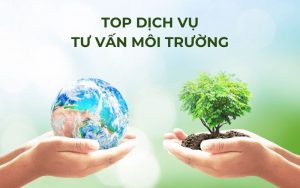 top dịch vụ tư vấn môi trường