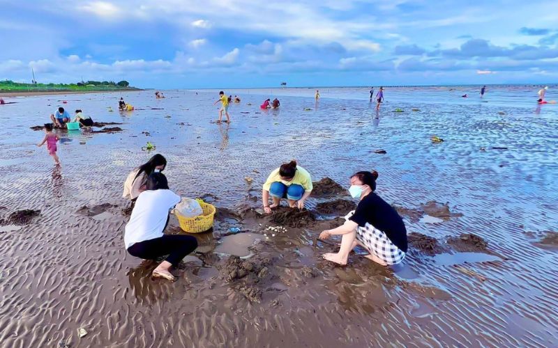 Tiền Giang – Cào nghêu biển Tân Thành