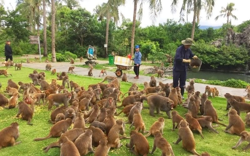 Đảo Khỉ: Địa điểm tham quan các đảo đi trong ngày ở Nha Trang