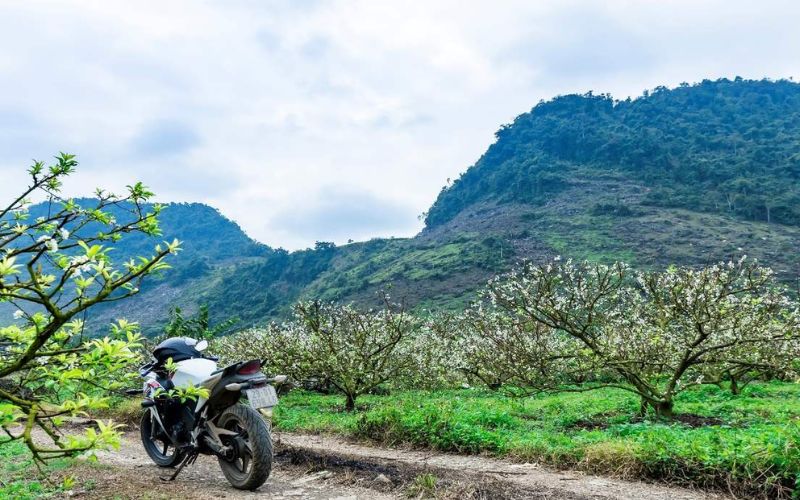 Cách đi Từ Hà Nội đến Mộc Châu