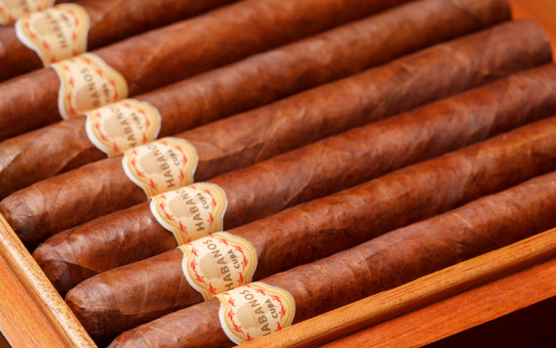 Habanos Specialist Hà Nội chuyên cung cấp xì gà có tiếng tại thủ đô