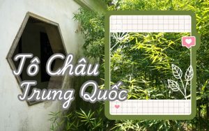 Du lịch Tô Châu Trung Quốc