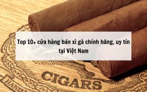 Các cửa hàng bán xì gà chính hãng, giá tốt