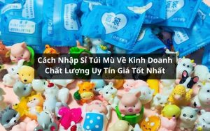 nhập sỉ túi mù