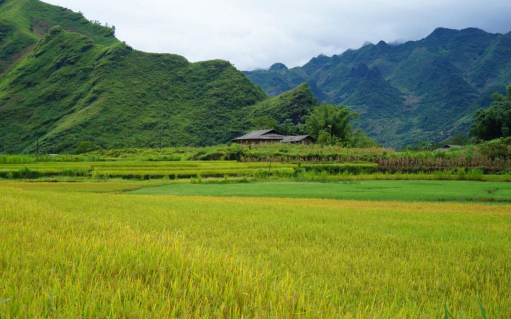 Day 1: Ha Giang - Thai An - Du Gia