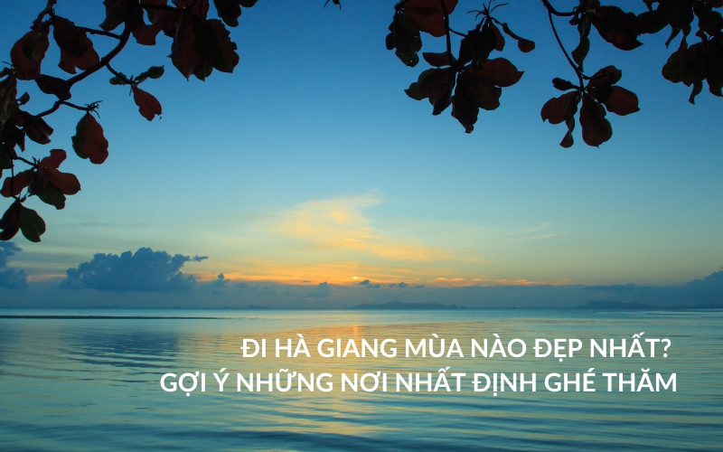 đi hà giang mùa nào đẹp nhất