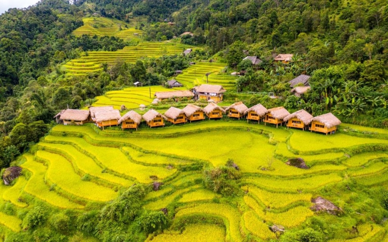 Ruộng bậc thang Hoàng Su Phì