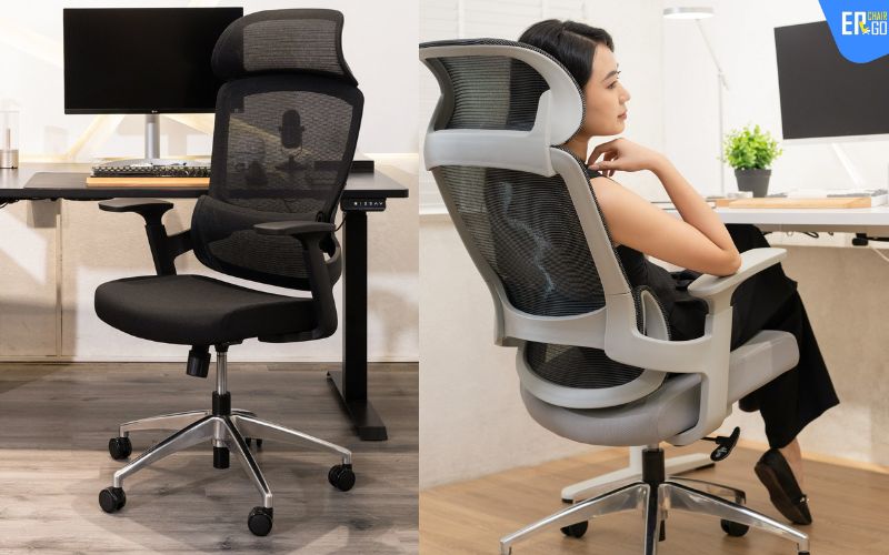 địa chỉ bán ghế công thái học Ergochair