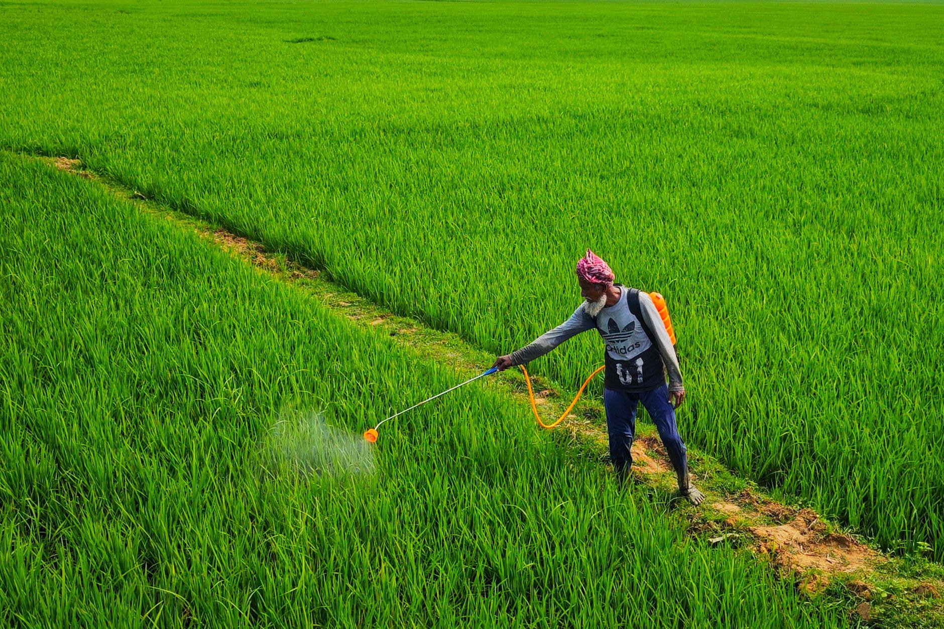 Nhóm 2: Đại lý phân bón, thuốc bảo vệ thực vật được cấp phép kinh doanh tại khu vực Nhóm 2: Đại lý phân bón, thuốc bảo vệ thực vật được cấp phép kinh doanh tại khu vực